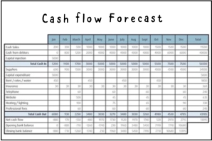 Cash Flow Forecast